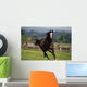 Thoroughbred Horses, Yearlings Wall Mural