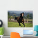 Thoroughbred Horses, Yearlings Wall Mural