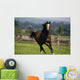 Thoroughbred Horses, Yearlings Wall Mural