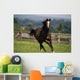 Thoroughbred Horses, Yearlings Wall Mural