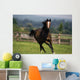 Thoroughbred Horses, Yearlings Wall Mural