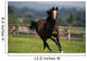 Thoroughbred Horses, Yearlings Wall Mural