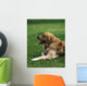 Golden Retriever Wall Mural