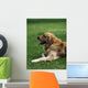 Golden Retriever Wall Mural