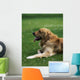 Golden Retriever Wall Mural