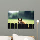 Thoroughbred Horses, Foal Looking Over Fence Wall Mural