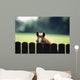 Thoroughbred Horses, Foal Looking Over Fence Wall Mural