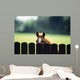 Thoroughbred Horses, Foal Looking Over Fence Wall Mural