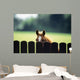 Thoroughbred Horses, Foal Looking Over Fence Wall Mural