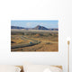 Sossusvlei Road Wall Mural
