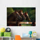 Ireland Wall Mural