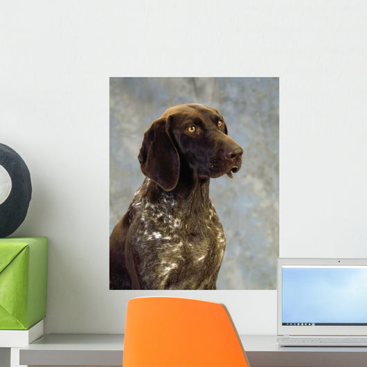 German Pointer Wall Mural
