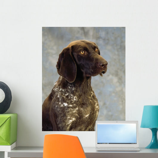 German Pointer Wall Mural