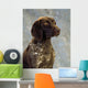 German Pointer Wall Mural