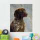 German Pointer Wall Mural