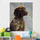 German Pointer Wall Mural