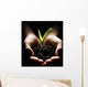 Hands Holding A Seedling Wall Mural