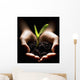 Hands Holding A Seedling Wall Mural