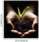 Hands Holding A Seedling Wall Mural