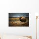 Muskox In The Northwest Territories Wall Mural