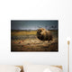 Muskox In The Northwest Territories Wall Mural