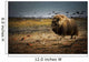 Muskox In The Northwest Territories Wall Mural
