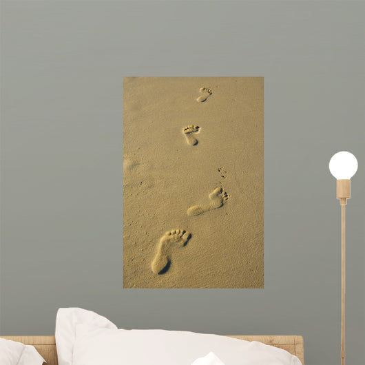 Foot Prints