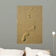 Foot Prints