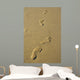 Foot Prints