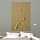 Foot Prints