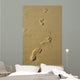 Foot Prints