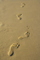 Foot Prints