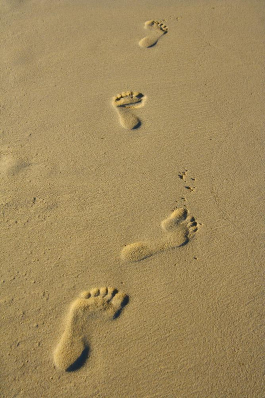 Foot Prints