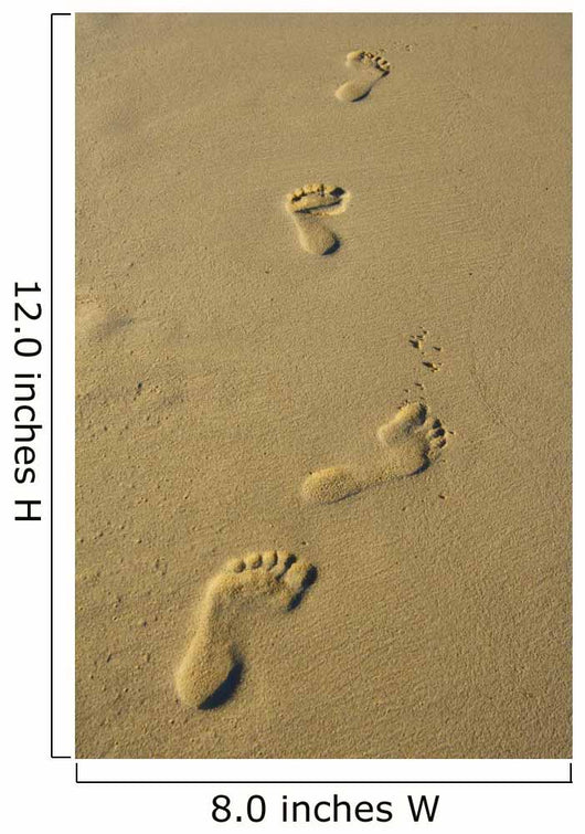 Foot Prints