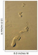 Foot Prints