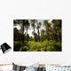 Foret Corse France Wall Mural