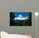 Mount Hood Framed By Trees, Oregon, Usa Wall Mural