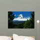 Mount Hood Framed By Trees, Oregon, Usa Wall Mural