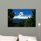 Mount Hood Framed By Trees, Oregon, Usa Wall Mural