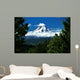 Mount Hood Framed By Trees, Oregon, Usa Wall Mural