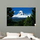 Mount Hood Framed By Trees, Oregon, Usa Wall Mural
