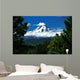 Mount Hood Framed By Trees, Oregon, Usa Wall Mural