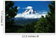 Mount Hood Framed By Trees, Oregon, Usa Wall Mural