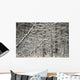Snow Covered Branches Wall Mural