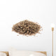 heap of caraway seeds Wall Decal