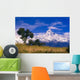 View Of Machhapuchhare From Sarangkot, Annapurna Region, Nepal Wall Mural