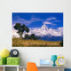 View Of Machhapuchhare From Sarangkot, Annapurna Region, Nepal Wall Mural