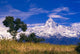 View Of Machhapuchhare From Sarangkot, Annapurna Region, Nepal Wall Mural