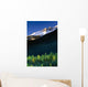 Banff National Park, Alberta, Canada Wall Mural