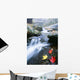 Small Stream, Shenandoah National Park, Virginia, USA Wall Mural